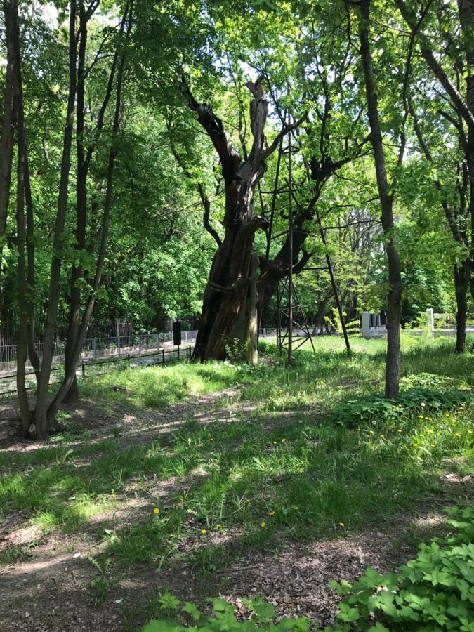 Warsaw-Aparts Ursynow Natolin Ngoại thất bức ảnh